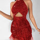 Allover Sequin Tassel Design Party Dress