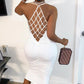 Fishnet Backless Sleeveless Bodycon Dress