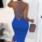 Fishnet Backless Sleeveless Bodycon Dress