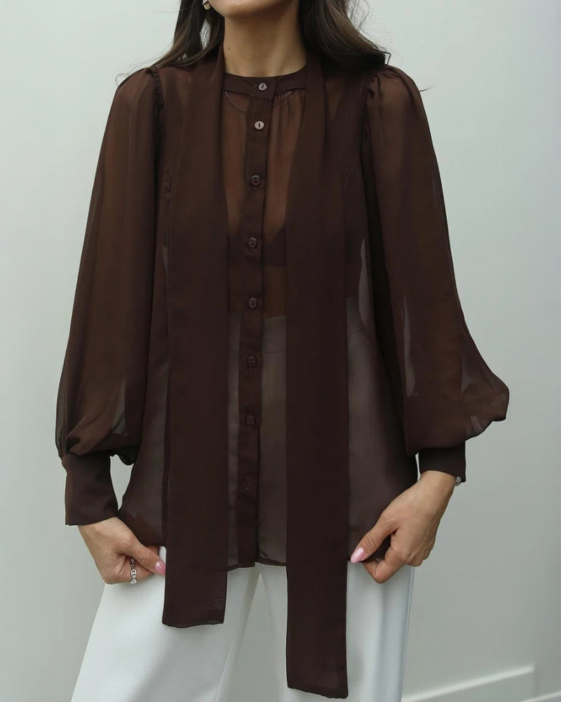 Tie Neck Lantern Sleeve Casual Blouses