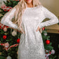 Silvery Sequin Long Sleeve Tie Waist Mini Dress