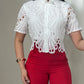 Lace Turn down Collar Short Sleeve Blouse Casual Hollow out Asymmetrical Hem Crop Top