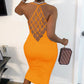 Fishnet Backless Sleeveless Bodycon Dress