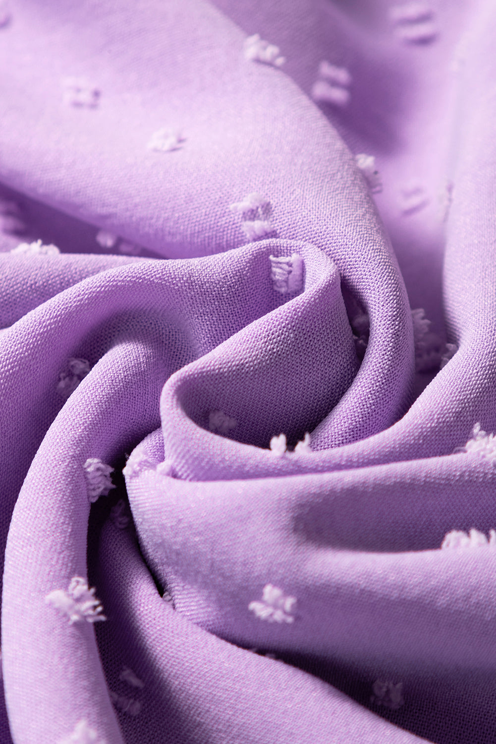 Wisteria Swiss Dot Smocked Frilled Neckline Short Sleeve Plus Size Dress