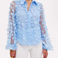 Floral Pattern Sheer Mesh Lantern Sleeve Top