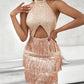 Allover Sequin Tassel Design Party Dress