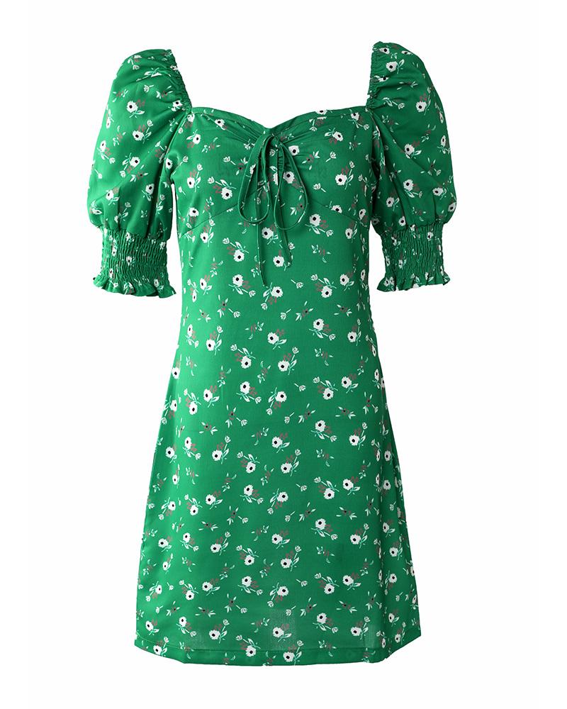 Puff Sleeve Ditsy Floral Print Drawstring Ruched Dress