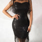 Sheer Mesh Patch Tassel Design Sequin Dress