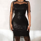 Sheer Mesh Patch Tassel Design Sequin Dress