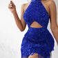 Allover Sequin Tassel Design Party Dress