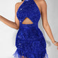 Allover Sequin Tassel Design Party Dress