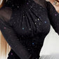 Glitter Sheer Mesh Long Sleeve High Neck Top