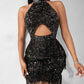 Allover Sequin Tassel Design Party Dress