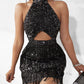 Allover Sequin Tassel Design Party Dress