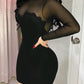 Sheer Mesh Floral Embroidery Bodycon Dress