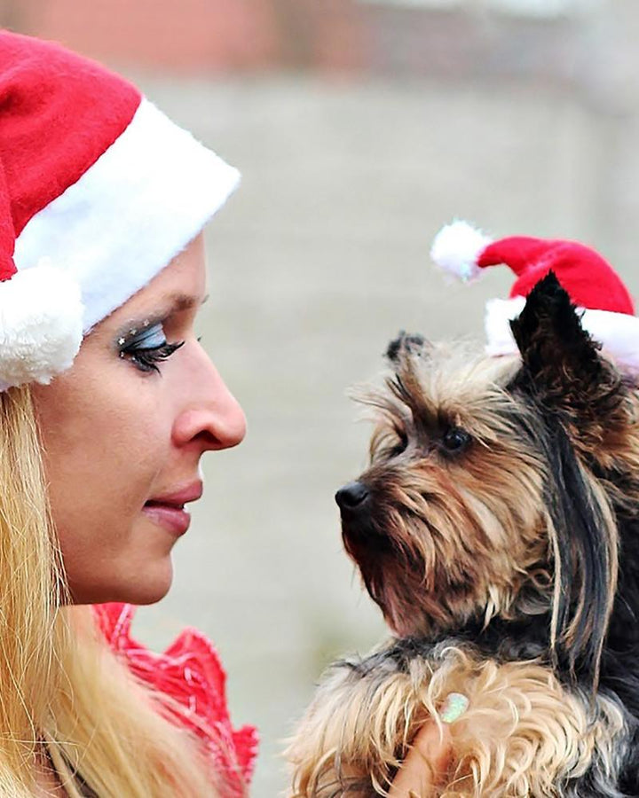 Christmas Fluffy Pom Pom Santa Hat For Pets